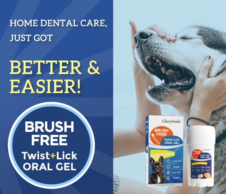 Glorysmile Pet Teeth Cleaning Toothpaste Oral Cleaning Gel Chicken Taste Remove Dental Plaque