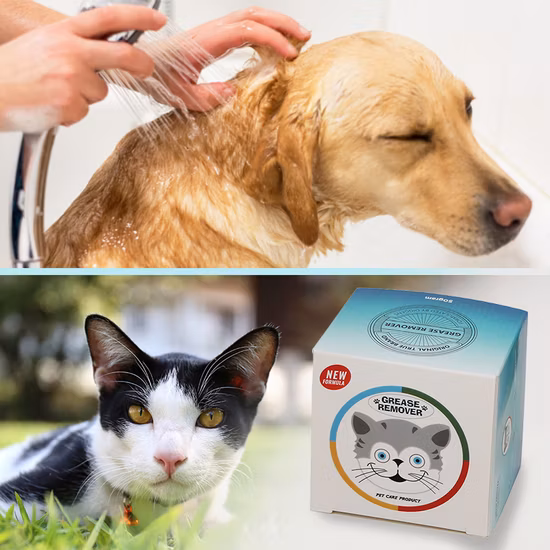 공장 공급 고품질 가려움증 탈지 애완 동물 샴푸