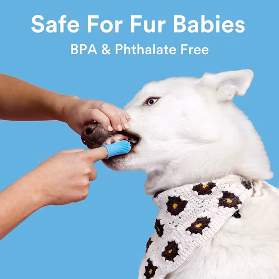 개 슈퍼 부드러운 애완 동물 손가락 칫솔 치아 청소 구취 관리 비 독성 실리콘 칫솔 도구 개 고양이 청소 용품