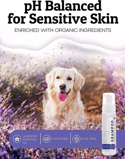 OEM 물이 없는 개 샴푸 개 청소 애완동물 목욕 샴푸를 위한 천연 건조 샴푸