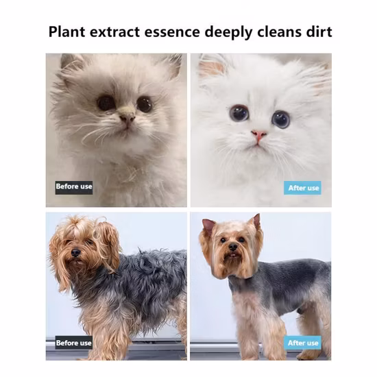 애완동물 발 샴푸