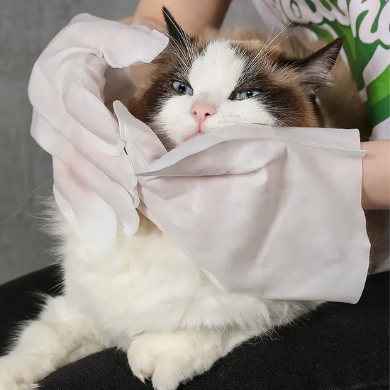 OEM 입 몸 청소 처리 개를 위한 부드러운 애완 동물 장갑 손질 젖은 물티슈